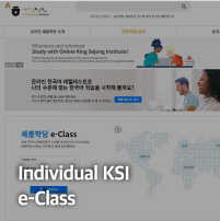 Individual KSI e-Class